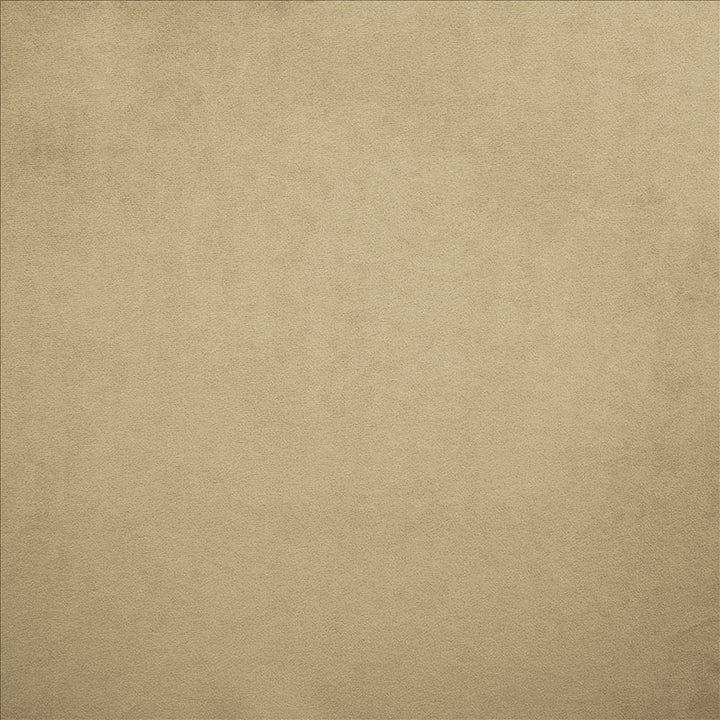 Nampara Beige by Kasmir Designer Fabric 5167 100% Polyester
 CHINA 105,000 Wyzenbeek Double Rubs </p><p>Repeat: Horizontal: N/A and Vertical: N/A 58 - Swanky Fabrics -