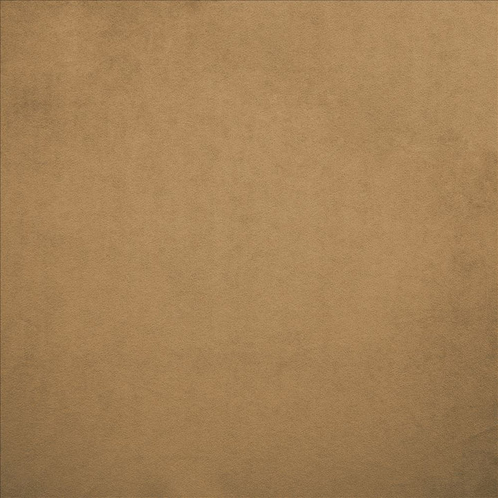 Nampara Cappuccino by Kasmir Designer Fabric See sample 100% Polyester
 CHINA 105,000 Wyzenbeek Double Rubs </p><p>Repeat: Horizontal: N/A and Vertical: N/A 58 - Swanky Fabrics -