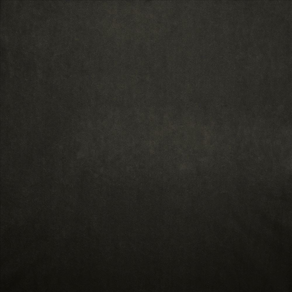 Nampara Charcoal by Kasmir Designer Fabric 5167 100% Polyester
 CHINA 105,000 Wyzenbeek Double Rubs </p><p>Repeat: Horizontal: N/A and Vertical: N/A 58 - Swanky Fabrics -