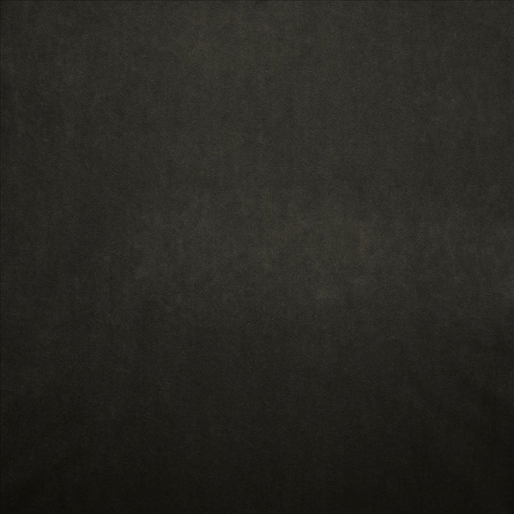 Nampara Charcoal by Kasmir Designer Fabric 5167 100% Polyester
 CHINA 105,000 Wyzenbeek Double Rubs </p><p>Repeat: Horizontal: N/A and Vertical: N/A 58 - Swanky Fabrics -