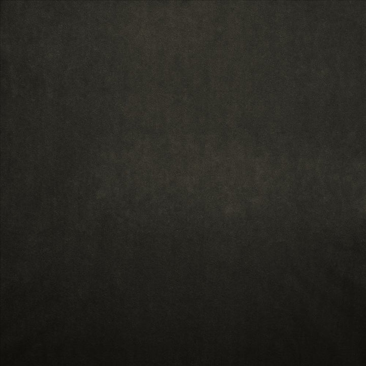Nampara Charcoal by Kasmir Designer Fabric 5167 100% Polyester
 CHINA </p><p>Repeat: Horizontal: N/A and Vertical: N/A 58 - Swanky Fabrics -