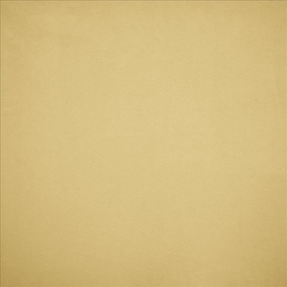 Nampara Cream  by Kasmir Designer Fabric 5167 100% Polyester
 CHINA 105,000 Wyzenbeek Double Rubs Horizontal: N/A and Vertical: N/A 58  - Swanky Fabrics -