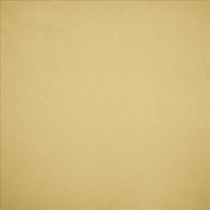 Nampara Cream by Kasmir Designer Fabric