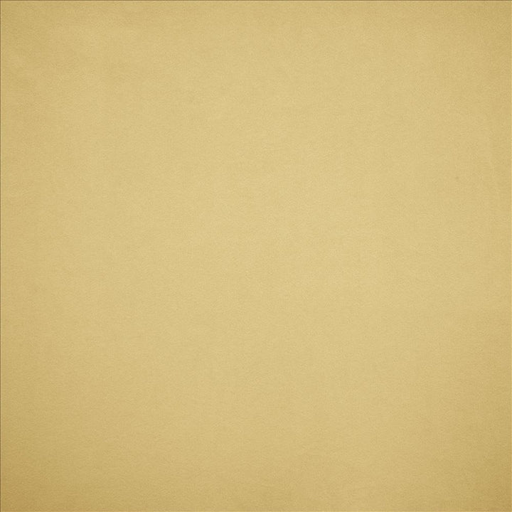 Nampara Cream by Kasmir Designer Fabric See sample 100% Polyester
 CHINA 105,000 Wyzenbeek Double Rubs </p><p>Repeat: Horizontal: N/A and Vertical: N/A 58 - Swanky Fabrics -