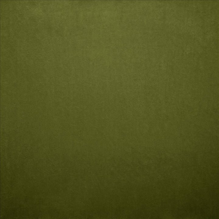 Nampara Fern by Kasmir Designer Fabric 5167 100% Polyester
 CHINA 105,000 Wyzenbeek Double Rubs </p><p>Repeat: Horizontal: N/A and Vertical: N/A 58 - Swanky Fabrics -