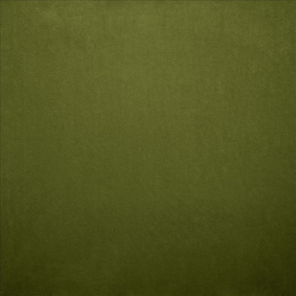 Nampara Fern by Kasmir Designer Fabric 5167 100% Polyester
 CHINA </p><p>Repeat: Horizontal: N/A and Vertical: N/A 58 - Swanky Fabrics -