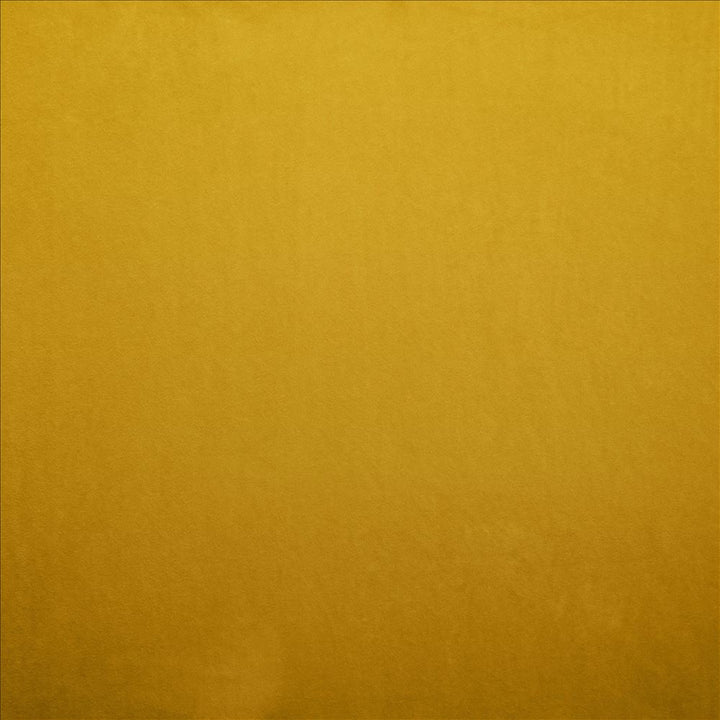 Nampara Gold by Kasmir Designer Fabric 5167 100% Polyester
 CHINA 105,000 Wyzenbeek Double Rubs </p><p>Repeat: Horizontal: N/A and Vertical: N/A 58 - Swanky Fabrics -