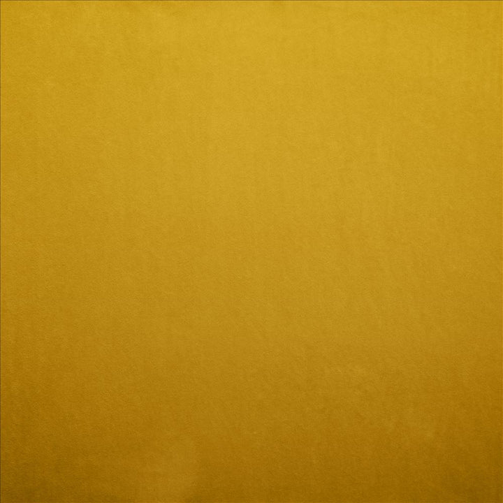 Nampara Gold by Kasmir Designer Fabric 5167 100% Polyester
 CHINA </p><p>Repeat: Horizontal: N/A and Vertical: N/A 58 - Swanky Fabrics -