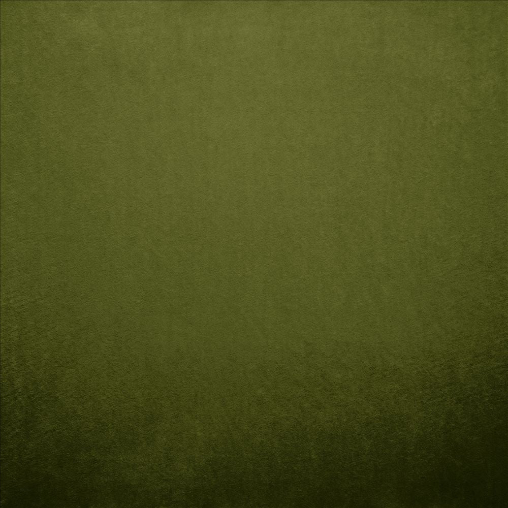 Nampara Green by Kasmir Designer Fabric 5167 100% Polyester
 CHINA </p><p>Repeat: Horizontal: N/A and Vertical: N/A 58 - Swanky Fabrics -