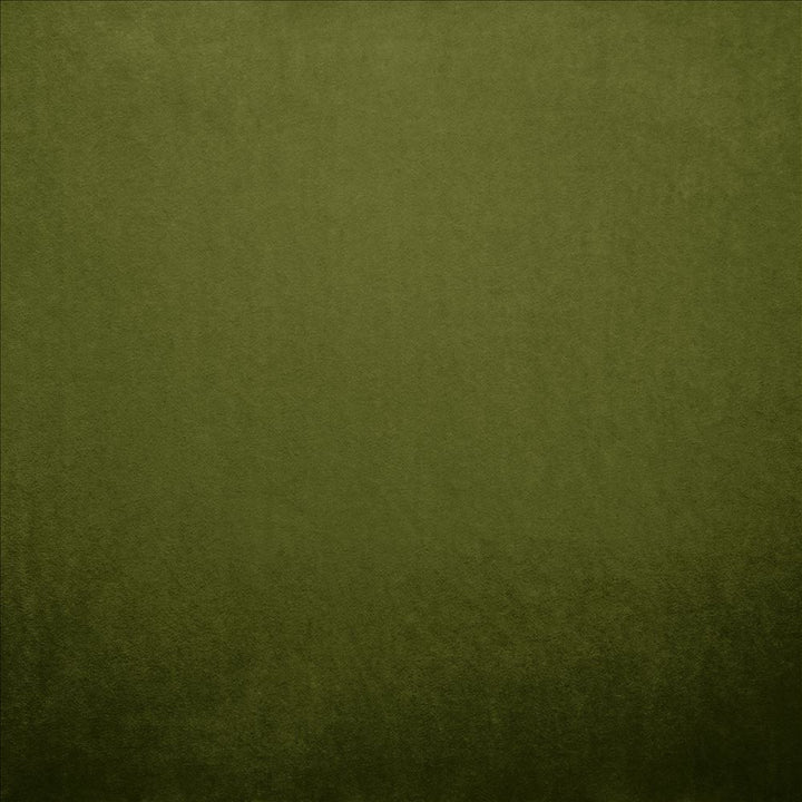 Nampara Green by Kasmir Designer Fabric 5167 100% Polyester
 CHINA </p><p>Repeat: Horizontal: N/A and Vertical: N/A 58 - Swanky Fabrics -