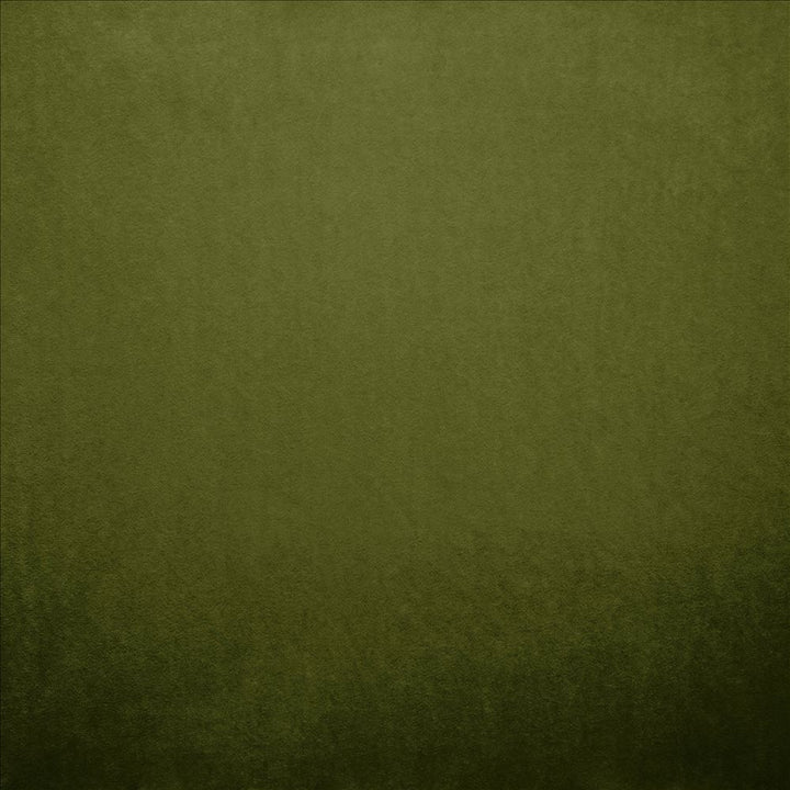 Nampara Green by Kasmir Designer Fabric 5167 100% Polyester
 CHINA 105,000 Wyzenbeek Double Rubs </p><p>Repeat: Horizontal: N/A and Vertical: N/A 58 - Swanky Fabrics -