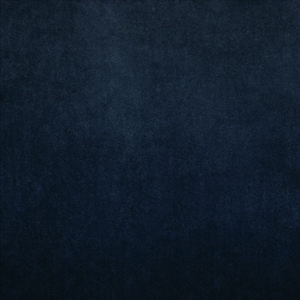 Nampara Indigo  by Kasmir Designer Fabric 5167 100% Polyester
 CHINA 105,000 Wyzenbeek Double Rubs Horizontal: N/A and Vertical: N/A 58  - Swanky Fabrics -