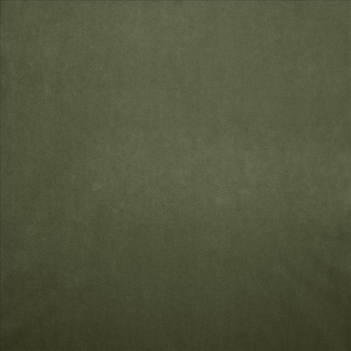 Nampara Kiwi by Kasmir Designer Fabric 5167 100% Polyester
 CHINA 105,000 Wyzenbeek Double Rubs </p><p>Repeat: Horizontal: N/A and Vertical: N/A 58 - Swanky Fabrics -