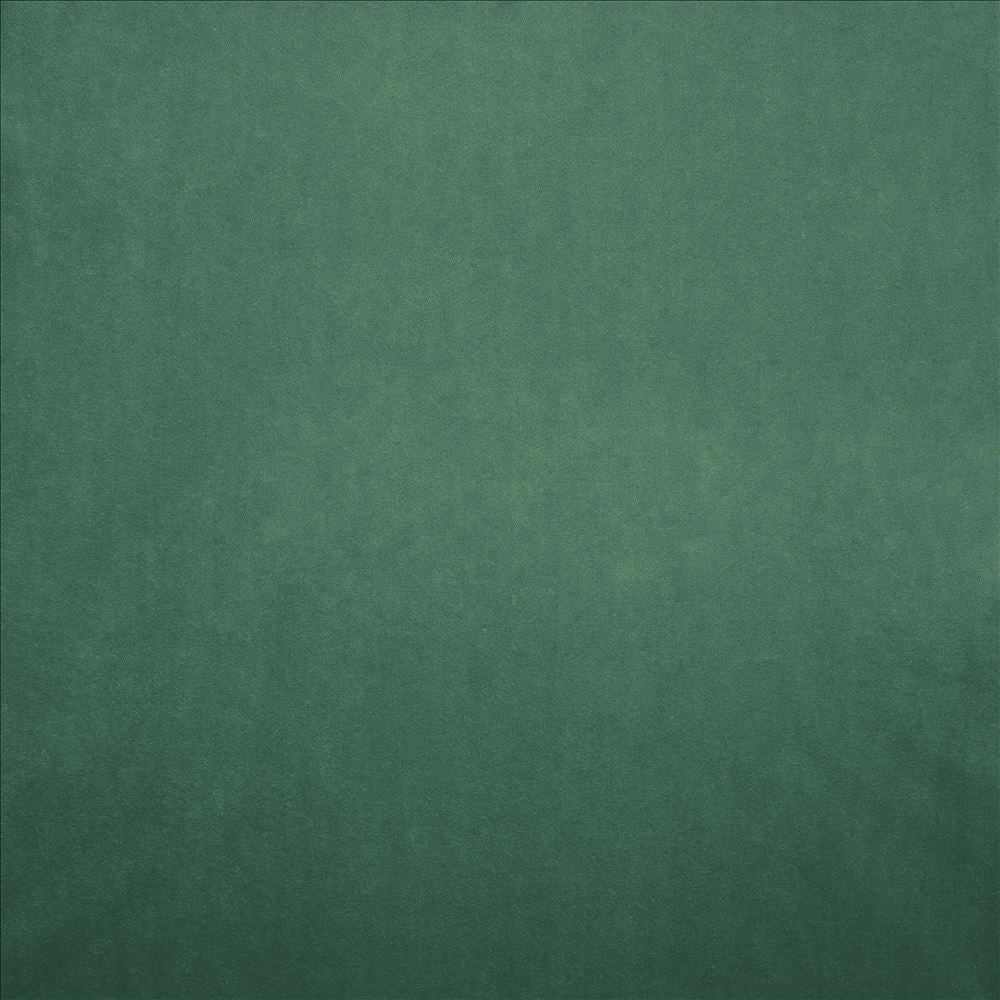 Nampara Leaf by Kasmir Designer Fabric 5167 100% Polyester
 CHINA 105,000 Wyzenbeek Double Rubs </p><p>Repeat: Horizontal: N/A and Vertical: N/A 58 - Swanky Fabrics -