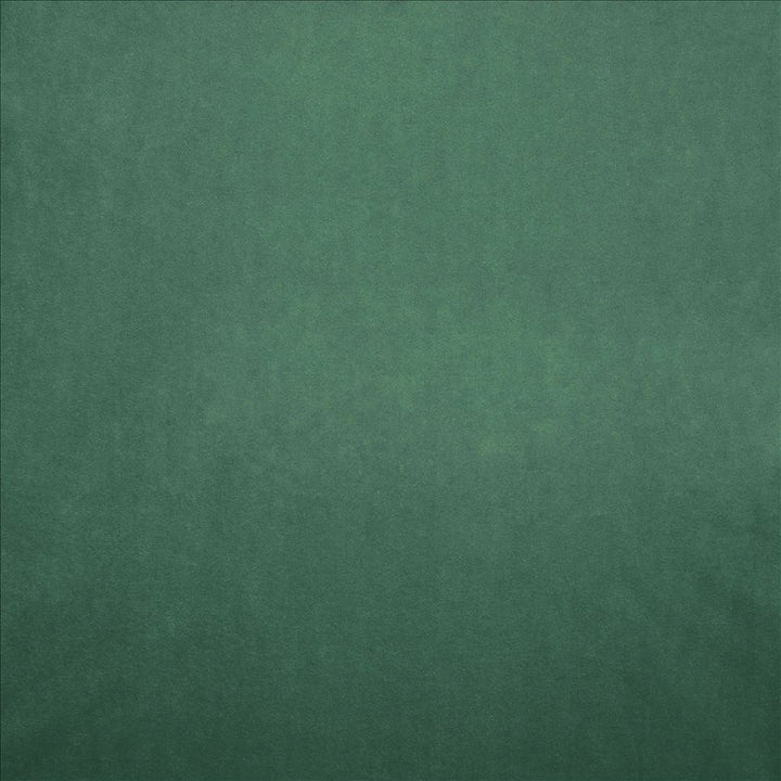 Nampara Leaf by Kasmir Designer Fabric 5167 100% Polyester
 CHINA 105,000 Wyzenbeek Double Rubs </p><p>Repeat: Horizontal: N/A and Vertical: N/A 58 - Swanky Fabrics -