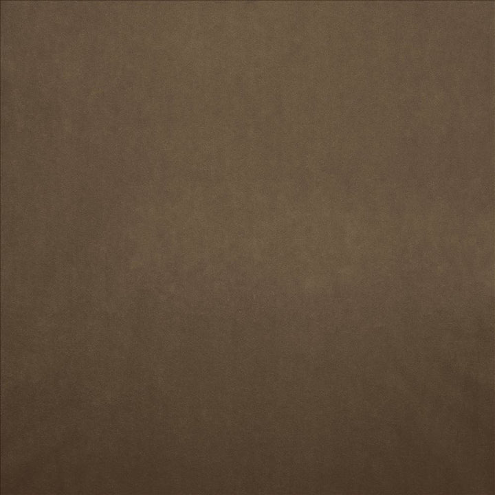 Nampara Mocha by Kasmir Designer Fabric 5167 100% Polyester
 CHINA 105,000 Wyzenbeek Double Rubs </p><p>Repeat: Horizontal: N/A and Vertical: N/A 58 - Swanky Fabrics -
