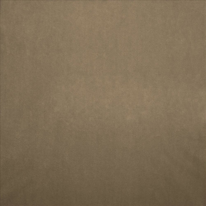 Nampara Natural by Kasmir Designer Fabric 5167 100% Polyester
 CHINA 105,000 Wyzenbeek Double Rubs </p><p>Repeat: Horizontal: N/A and Vertical: N/A 58 - Swanky Fabrics -