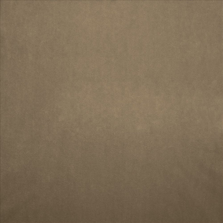Nampara Natural by Kasmir Designer Fabric 5167 100% Polyester
 CHINA </p><p>Repeat: Horizontal: N/A and Vertical: N/A 58 - Swanky Fabrics -