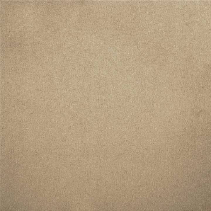 Nampara Nickel by Kasmir Designer Fabric 5167 100% Polyester
 CHINA 105,000 Wyzenbeek Double Rubs </p><p>Repeat: Horizontal: N/A and Vertical: N/A 58 - Swanky Fabrics -