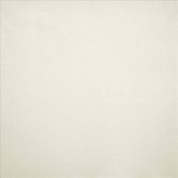 Nampara White by Kasmir Designer Fabric 5167 100% Polyester
 CHINA 105,000 Wyzenbeek Double Rubs </p><p>Repeat: Horizontal: N/A and Vertical: N/A 58 - Swanky Fabrics -