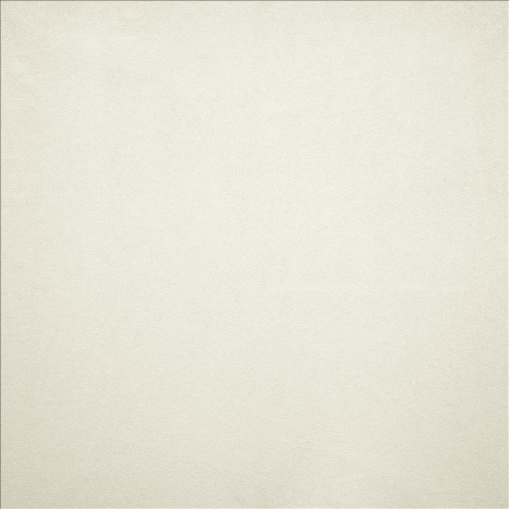 Nampara White  by Kasmir Designer Fabric 5167 100% Polyester
 CHINA 105,000 Wyzenbeek Double Rubs Horizontal: N/A and Vertical: N/A 58  - Swanky Fabrics -