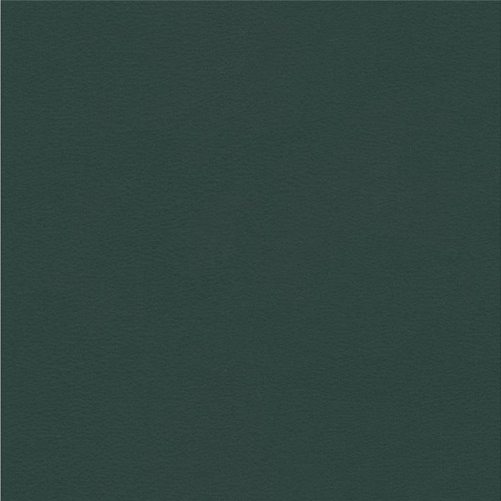 NEWT.5 by Kravet Smart Designer Fabric our website for purchase 100% Leather Taiwan Heavy Horizontal: see sample and Vertical: see sample 54 inches - Swanky Fabrics -
