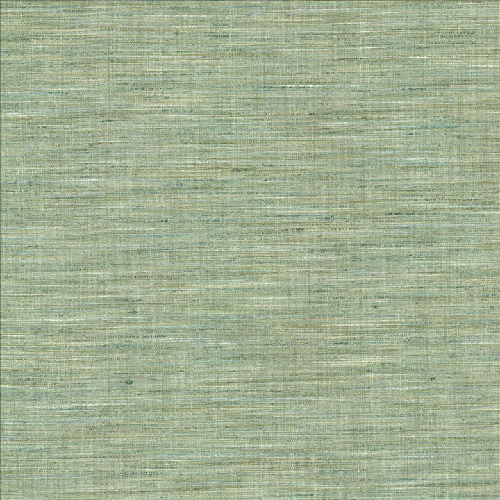 Nikita Aquamarine by Kasmir Designer Fabric 1461 100% Polyester
 INDIA 30,000 Wyzenbeek Double Rubs </p><p>Repeat: Horizontal: N/A and Vertical: N/A 54 - Swanky Fabrics -