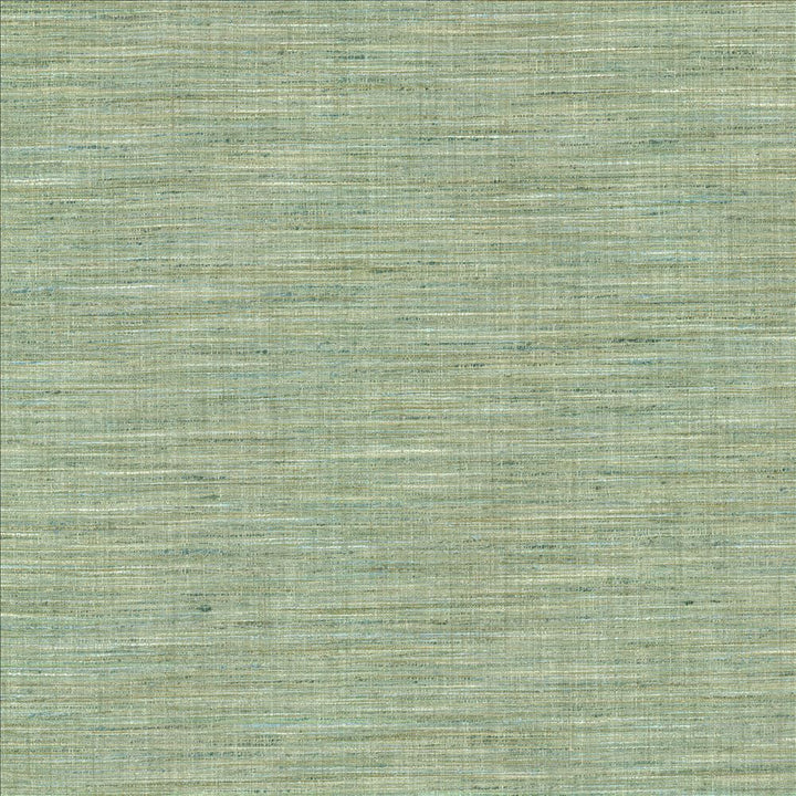 Nikita Aquamarine by Kasmir Designer Fabric 1461 100% Polyester
 INDIA </p><p>Repeat: Horizontal: N/A and Vertical: N/A 54 - Swanky Fabrics -