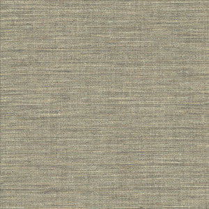 Nikita Cloud by Kasmir Designer Fabric