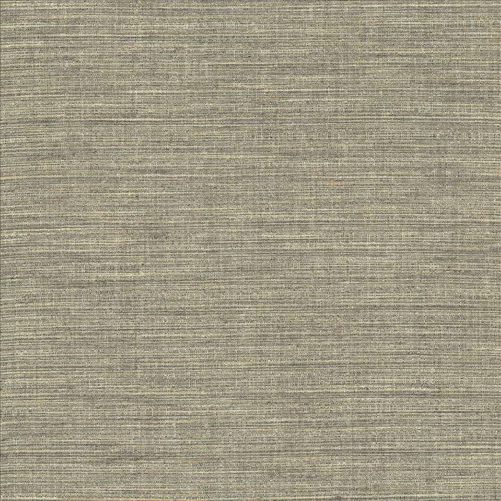 Nikita Cloud by Kasmir Designer Fabric 1461 100% Polyester
 INDIA 30,000 Wyzenbeek Double Rubs </p><p>Repeat: Horizontal: N/A and Vertical: N/A 54 - Swanky Fabrics -