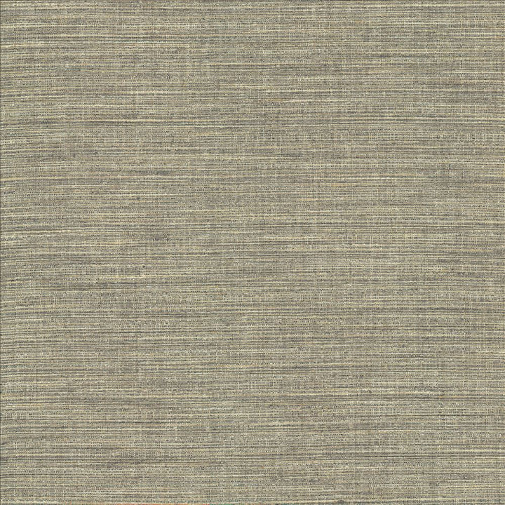 Nikita Cloud by Kasmir Designer Fabric 1461 100% Polyester
 INDIA </p><p>Repeat: Horizontal: N/A and Vertical: N/A 54 - Swanky Fabrics -