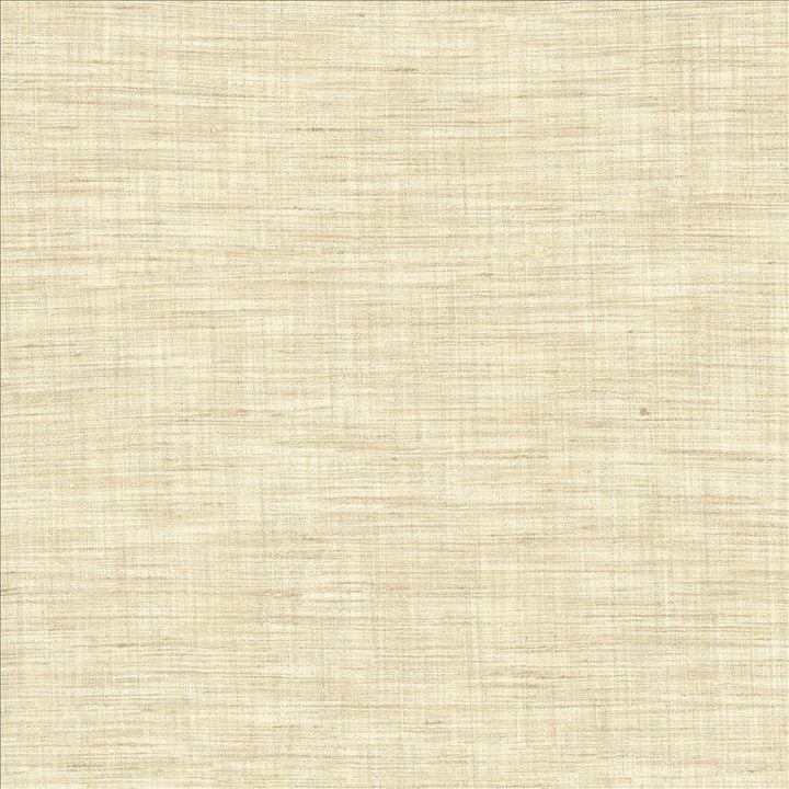Nikita Vanilla by Kasmir Designer Fabric 1461 100% Polyester
 INDIA </p><p>Repeat: Horizontal: N/A and Vertical: N/A 54 - Swanky Fabrics -