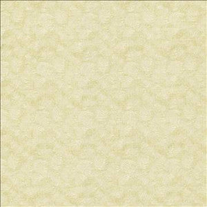 Nimbus Natural by Kasmir Designer Fabric