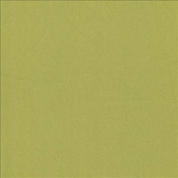 Nonchalant Avocado by Kasmir Designer Fabric 5075 100% Cotton TURKEY Not Tested H: N/A, V: N/A 54 - 55 - Swanky Fabrics - Kasmir