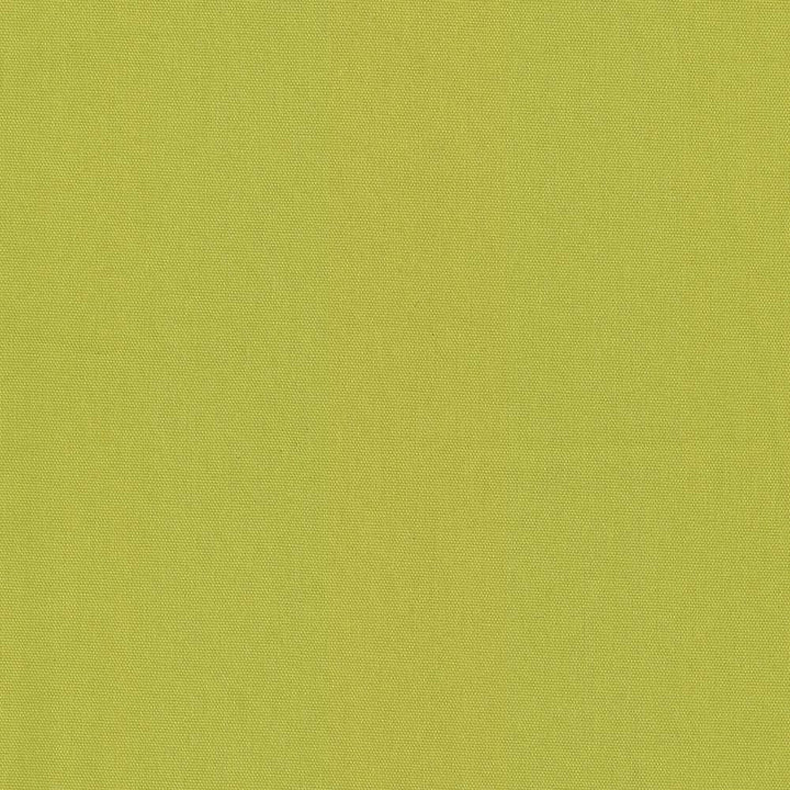 Nonchalant Lime  by Kasmir Designer Fabric 5075 100% Cotton
 TURKEY Not Tested Horizontal: N/A and Vertical: N/A 54  - Swanky Fabrics -