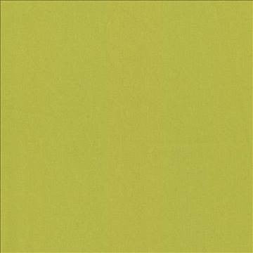 Nonchalant Lime by Kasmir Designer Fabric 5075 100% Cotton TURKEY Not Tested H: N/A, V: N/A 54 - 55 - Swanky Fabrics - Kasmir