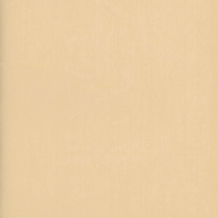 Oasis Camel by Heritage Fabric - 100% Polyester - Turkey - 118" - Fabric Carolina -