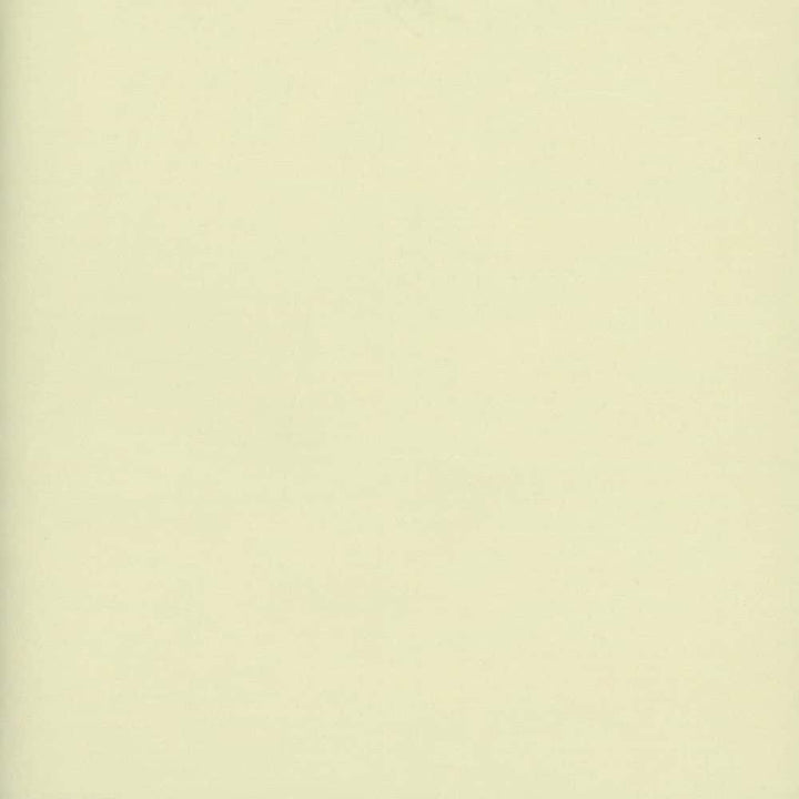 Oasis Champagne by Heritage Fabric - 100% Polyester - Turkey - 118" - Fabric Carolina -