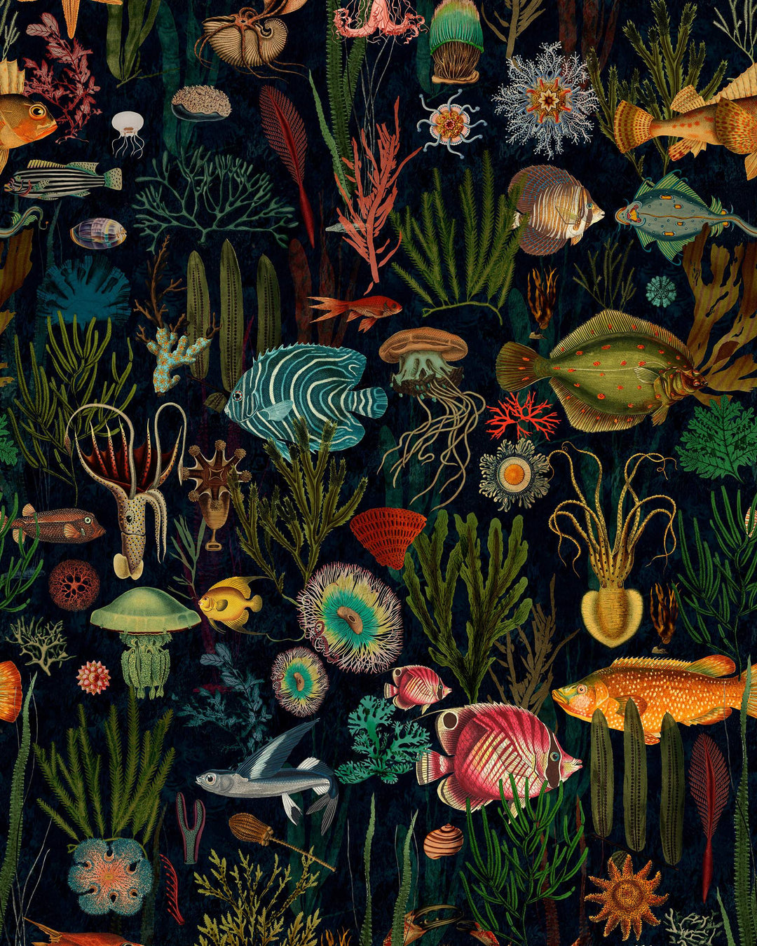 Oceania wallpaper by Mind the Gap (WP20304), swatch