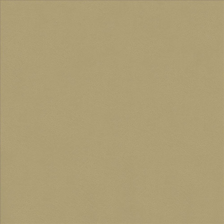 Odin Ash by Kasmir Designer Fabric 5127 100% Polyurethane
 CHINA 100,000 Wyzenbeek Double Rubs </p><p>Repeat: Horizontal: N/A and Vertical: N/A 53 - Swanky Fabrics -