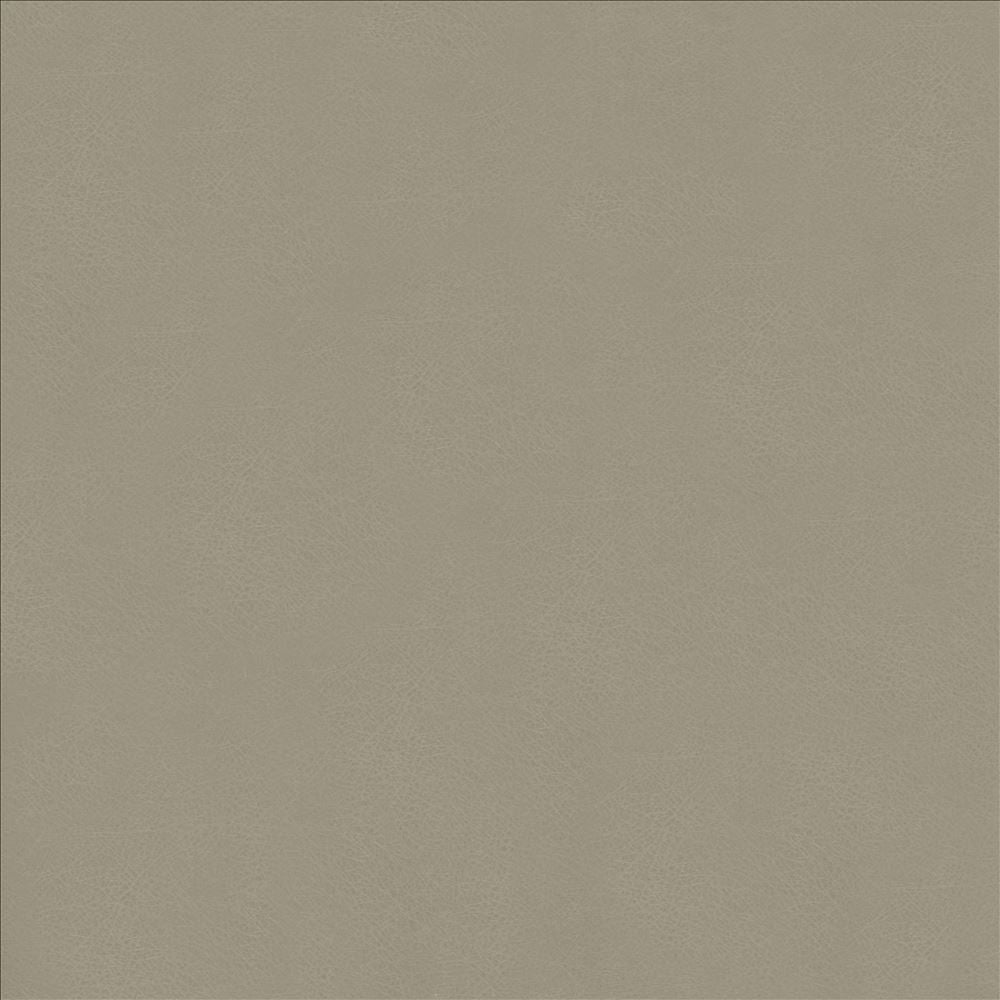 Odin Ash by Kasmir Designer Fabric See sample 100% Polyurethane
 CHINA 100,000 Wyzenbeek Double Rubs </p><p>Repeat: Horizontal: N/A and Vertical: N/A 53 - Swanky Fabrics -