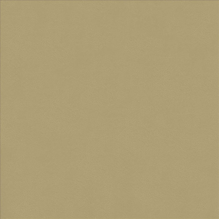 Odin Ash by Kasmir Designer Fabric 5127 100% Polyurethane
 CHINA </p><p>Repeat: Horizontal: N/A and Vertical: N/A 53 - Swanky Fabrics -