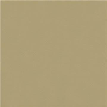 Odin Ash by Kasmir Designer Fabric 5127 100% Polyurethane CHINA 100,000 Wyzenbeek Double Rubs H: N/A, V: N/A 54 - Swanky Fabrics - Kasmir