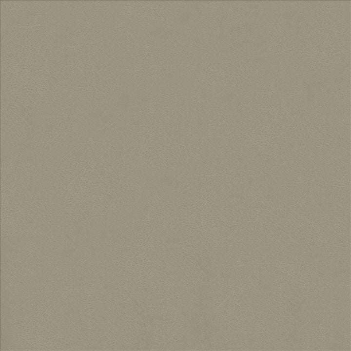 Odin Ash  by Kasmir Designer Fabric 5127 100% Polyurethane
 CHINA 100,000 Wyzenbeek Double Rubs Horizontal: N/A and Vertical: N/A 53  - Swanky Fabrics -