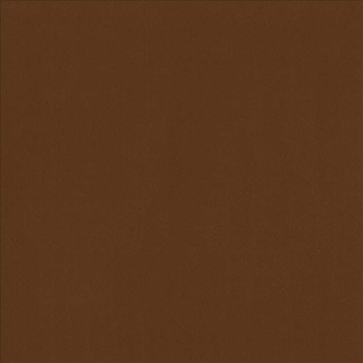 Odin Cognac by Kasmir Designer Fabric 5127 100% Polyurethane CHINA 100,000 Wyzenbeek Double Rubs Horizontal: 0 Inches and Vertical: 0 Inches 54 - Swanky Fabrics -