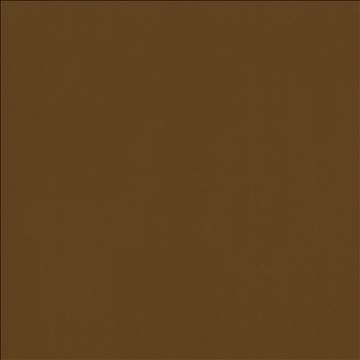 Odin Cognac by Kasmir Designer Fabric 5127 100% Polyurethane CHINA 100,000 Wyzenbeek Double Rubs H: N/A, V: N/A 54 - Swanky Fabrics - Kasmir