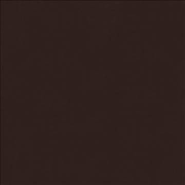 Odin Earth by Kasmir Designer Fabric 5127 100% Polyurethane CHINA 100,000 Wyzenbeek Double Rubs H: N/A, V: N/A 54 - Swanky Fabrics - Kasmir