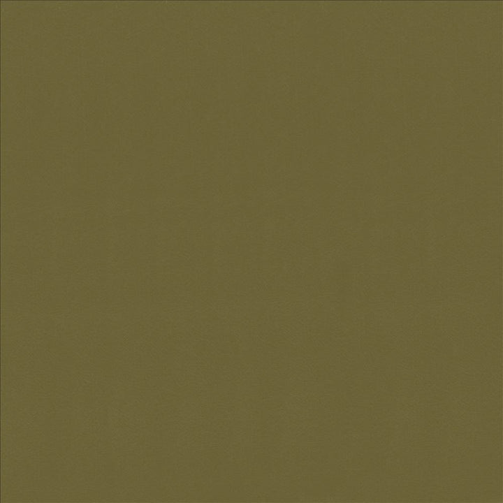 Odin Lichen  by Kasmir Designer Fabric 5127 100% Polyurethane
 CHINA 100,000 Wyzenbeek Double Rubs Horizontal: N/A and Vertical: N/A 53  - Swanky Fabrics -