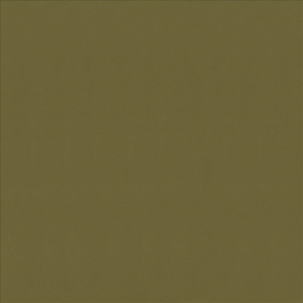 Odin Lichen by Kasmir Designer Fabric 5127 100% Polyurethane CHINA 100,000 Wyzenbeek Double Rubs Horizontal: 0 Inches and Vertical: 0 Inches 54 - Swanky Fabrics -