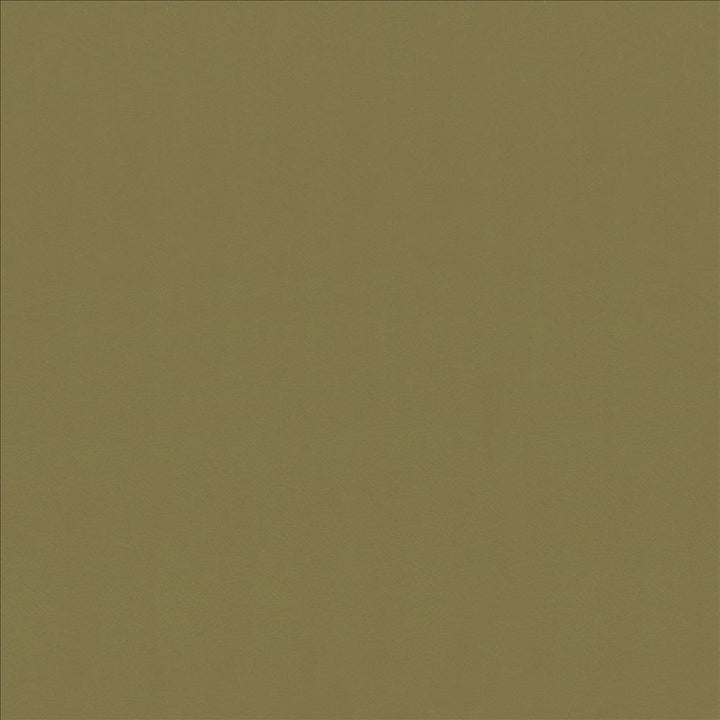 Odin Lichen by Kasmir Designer Fabric 5127 100% Polyurethane
 CHINA </p><p>Repeat: Horizontal: N/A and Vertical: N/A 53 - Swanky Fabrics -